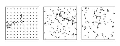 Figure 2 : Exemple de simulation du déplacement d’une femelle parasitoïde en présence d’hôtes, ceux-ci ayant une distribution spatiale soit régulière (gauche), soit aléatoire (centre), soit agrégative (droite).