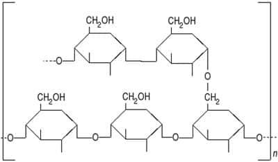 Amylopectine