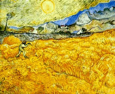 Champs de blé © Van Gogh