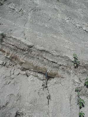 Les couches argileuses fossilifères de Pucangan, dôme de Sangiran. © Semenanjung, MQPI