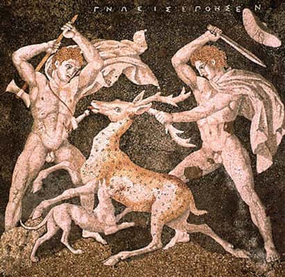 Fresque macédonienne d'inspiration hellénistique, de la fin du IVe siècle avant J.C., Musée archéologique de Pella, signée « Fait par Gnosis ». La chasse aux grands cervidés est ancienne. Bien avant l'invention du fusil, elle a été grandement facilitée par le dressage de chiens de chasse.