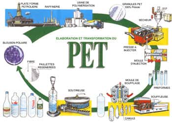 Le recyclage du PET et son circuit dans la consommation.