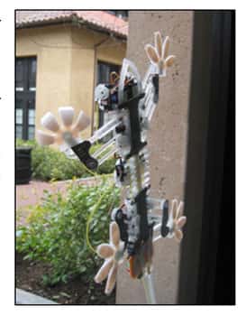 Le robot Stickybot imite les propriétés naturelles du gecko. © Kellar Autumn, <em>Lewis &amp; Clark College</em>, Portland