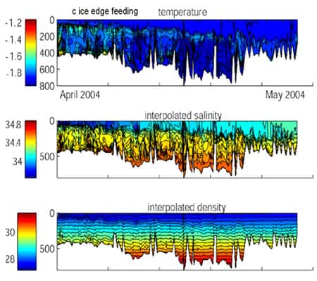 Température de la couche de surface en fonction de la saison et taux de salinité entre mars et juin 2004. © DR
