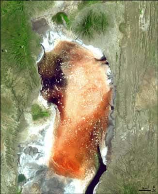 Le Lac Natron - Tanzanie