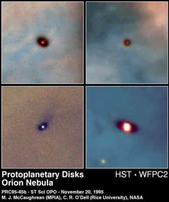 Disques d'accrétion sombres observés par le HST dans la constellation d'Orion. Ces disques se forment autour d'une protoétoile et donneront naissance à de nouveaux systèmes solaires. Dans un quasar, les disques d'accrétion autour du trou noir central sont extrêmement chauds et rayonnent leur lumière dans l'ultraviolet et les rayons X. Ils sont similaires au disque formé au centre de la Voie Lactée (voir notre article <a href="//www.futura-sciences.com/sciences/actualites/univers-etrange-calme-sources-gamma-centre-voie-lactee-10294/" title="L&#039;étrange calme des sources gamma du centre de la Voie lactée">L'étrange calme des sources gamma du centre de la Voie lactée</a>). © Wikipédia