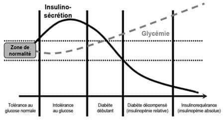 Schéma de l’évolution du taux de glucose (glycémie) dans le cas du diabète de type 2. Au fur et à mesure de l’avancement du diabète de type 2, le taux d’insuline sécrétée par l’organisme diminue. La glycémie augmente ainsi, dépassant largement la « zone de normalité ». © D’après Blicklé J.-F.Traitements oraux du diabète. Encycl. Med Chir(Elsevier, Paris), Endocrinologie-Nutrition, 10366-R-20, 1999