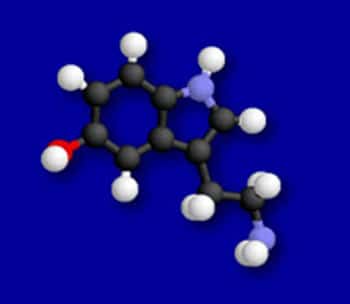 Molécule de sérotonine.<br>Les atomes sont représentés par des boules suivant un code couleur (noir : carbone, blanc : hydrogène, rouge : oxygène, bleu : azote).<br>Source : <a target="_blank" href="http://lecerveau.mcgill.ca/">http://lecerveau.mcgill.ca</a>