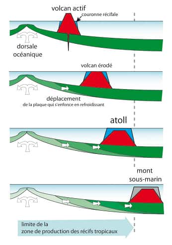 Figure 10 : Certains volcans dits « de point chaud » ont une origine très profonde, dans le manteau terrestre. 