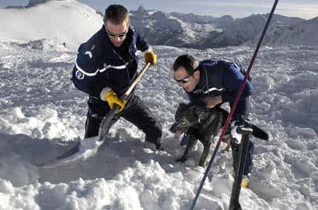 Entraînement d’un chien d’avalanche avec deux membres du Peloton de gendarmerie de haute montagne. © Sirpa gendarmerie