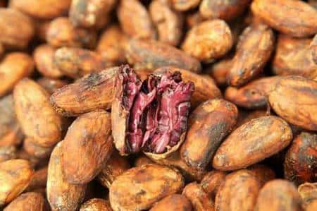 Grâce à ses investissements, la Conacado peut exporter du cacao séché de qualité supérieure. © Max Haavelar