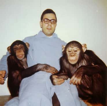 L'auteur, jeune, avec des amis chimpanzés. © Georges Chapouthier, tous droits réservés