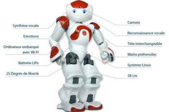 Le projet Nao a été lancé début 2005 et vise à mettre à la disposition du grand public, pour un prix abordable, un robot humanoïde disposant de fonctions mécaniques, électroniques et cognitives dignes des prototypes de recherche. Il sert aussi aux chercheurs ; des scientifiques du CNRS l'ont ainsi rendu capable d'apprendre et d'enseigner. Nao a été créé par la société française Aldebaran Robotics, rachetée ensuite par le japonais SoftBank. © Wikipedia Aldebaran Robotics