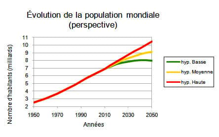 Illustration 1: Source : Population Division of the Department of Economic and Social Affairs of the United Nations Secretariat, World Population Prospects: The 2008 Revision, http://esa.un.org/unpp, Monday, August 31, 2009