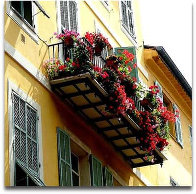 Pleine floraison sur un balcon ! © Chris, Flickr, CC by-nc-sa 2.0