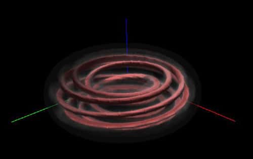 Visualisation 3D de la turbulence dans un plasma de Tokamak obtenue à partir d'une simulation numérique.<br />© LPMIA UMR7040