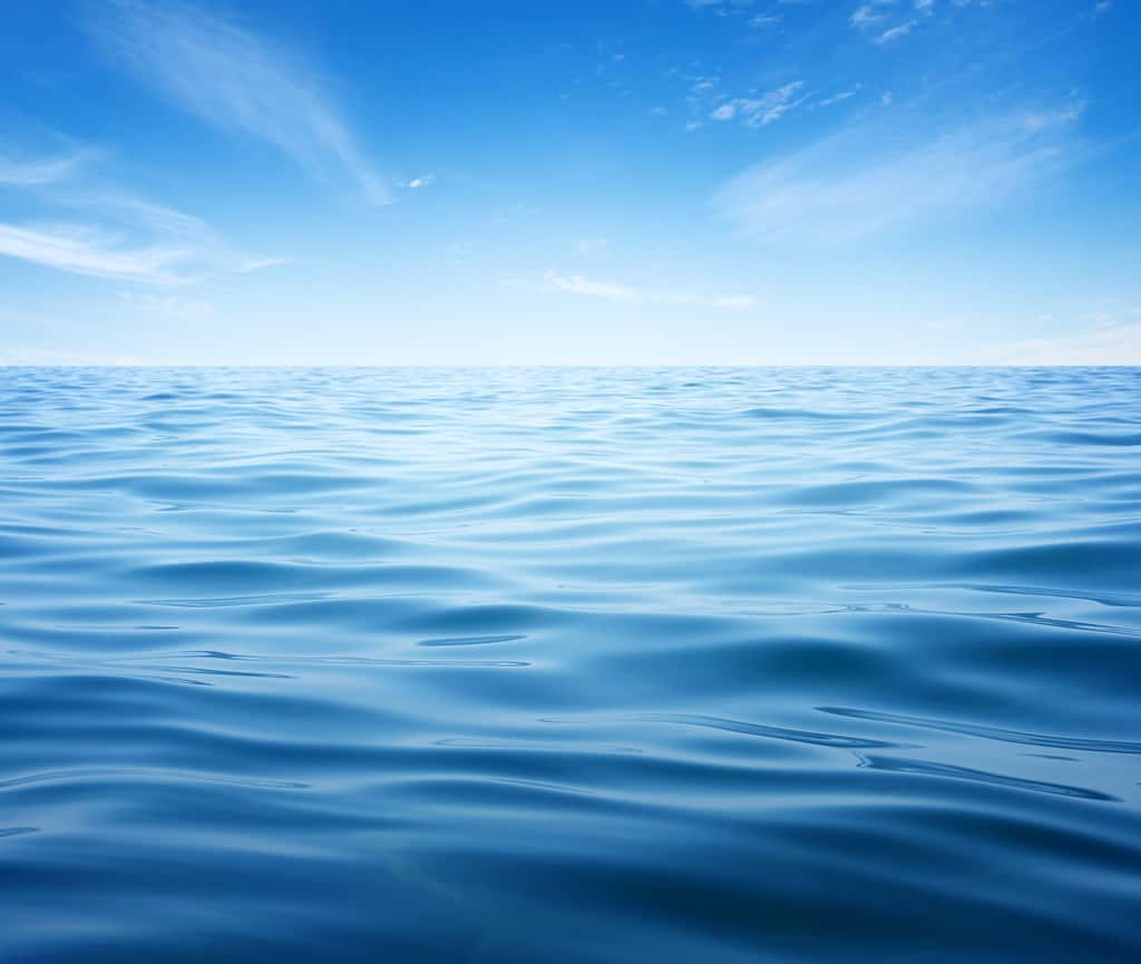 Quel est l'avenir proche de la vie marine ? Des chercheurs alertent sur l'urgence de réduire nos émissions de GES. © Alekss, Adobe Stock