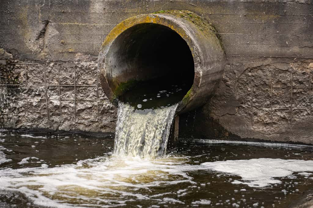 L'analyse d'eaux usées a révélé une présence inquiétante de polluants persistants dans l'environnement. © andrei310, Adobe Stock