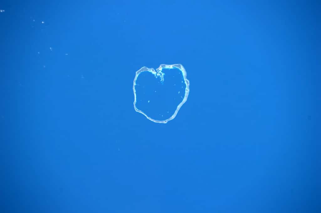 Les 22 îles de l'atoll d'Ebon, qui fait partie des îles Marshall dans le Pacifique, vous font un cœur avec les doigts, vu par l'astronaute italien Paolo Nespoli depuis l'ISS en 2011. © ESA