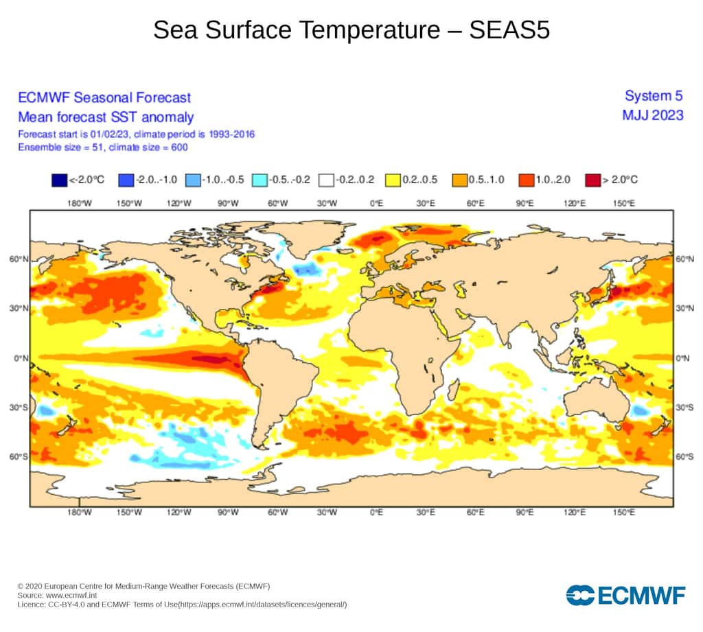 La hausse des températures de l'eau entre mai et juillet, caractéristique d'El Niño, est visible sur la bande orange et rouge dans le Pacifique à l'ouest de l'Amérique du Sud. © modèle météo ECMWF 