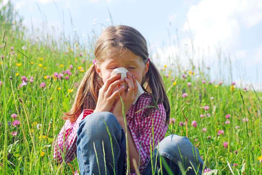 En France, environ 20 % des enfants à partir de 9 ans et 30 % des adultes sont aujourd'hui concernés par des allergies au pollen, selon le ministère de la Santé. © photophonie, Adobe Stock