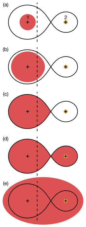 Sur ces schémas, on voit les lobes de Roche de deux étoiles formant un système binaire. Ces lobes sont des surfaces d'équipotentielles du champ de gravitation commun et lorsqu'une des étoiles se met à gonfler, elle se déformera pour adopter une forme d'équilibre ou sa surface épouse celle des lobes si elle se dilate suffisamment. Un flot de gaz peut passer de l'une à l'autre et on a une binaire en contact si les deux lobes de Roche sont occupés. Lorsque le gaz commun déborde largement les deux lobes, on a une binaire à enveloppe, à ne pas confondre avec une binaire à contact. © Philip D. Hall Wikipédia, CC by-sa 3.0