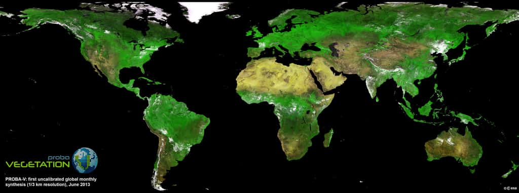 Première carte globale du couvert végétal réalisée par le satellite Proba-V en juin 2013. Cette mosaïque combine une multitude de photos acquises lors des premières révolutions du satellite autour de la Terre. © Esa