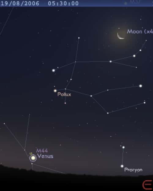 La planète Vénus est en conjonction avec l'amas de la Crèche (M44)