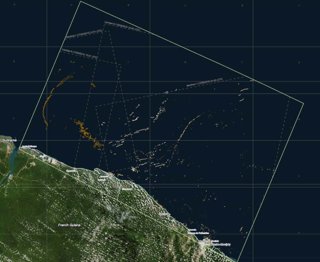 Sentinel 1A est notamment utilisé pour la surveillance de l'environnement maritime. Lorsqu'il passe au-dessus de la Guyane, il ne manque pas de rendre compte de la prolifération de l'algue appelée « sargasse ». © <em>Copernicus data</em>