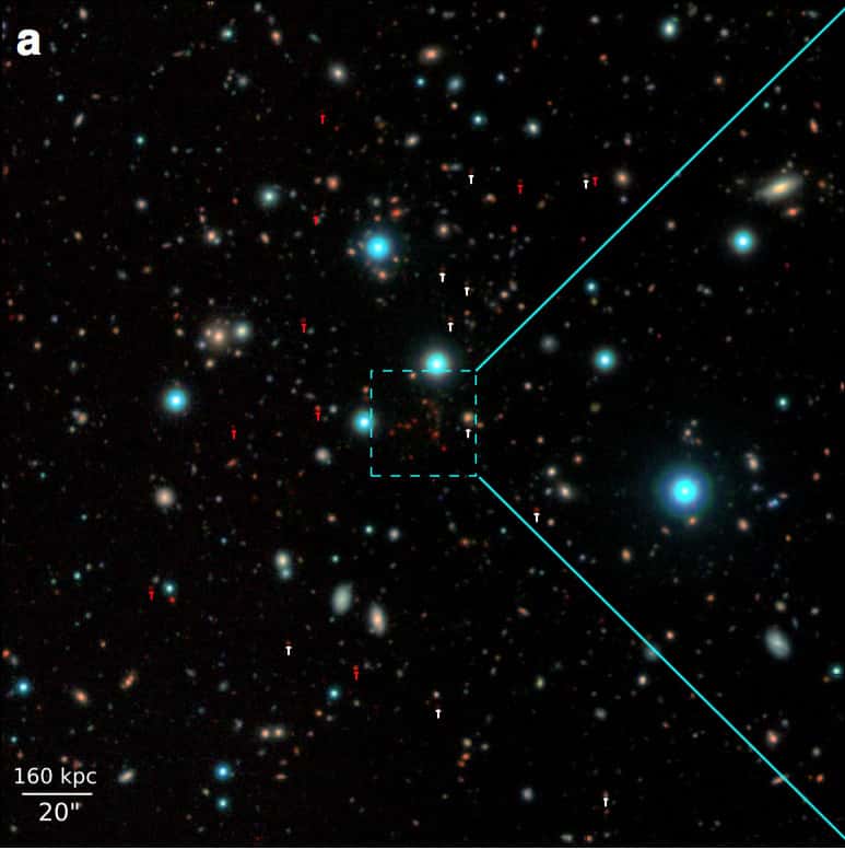 Chaque point sur l’image représente une galaxie avec ses centaines de milliards d’étoiles, les plus rouges sont aussi les plus lointaines. © CEA