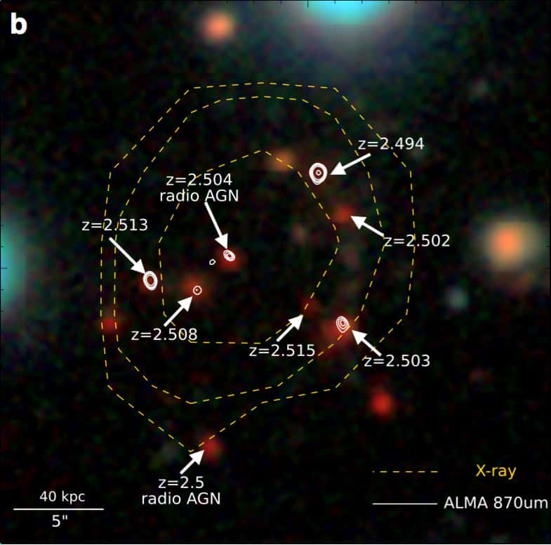 Cette image montre un zoom sur le coeur de l’amas avec ses 17 galaxies en pleine « flambée d’étoiles » identifiées par le rayonnement de leur matière interstellaire (<em>via</em> la détection des molécules et de leur redshift grâce à IRAM-NOEMA, et des poussières grâce à ALMA).© CEA