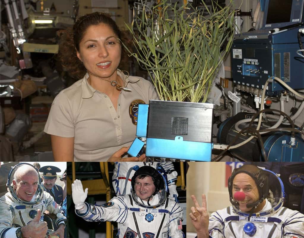 Voici quatre des sept touristes spatiaux qui ont rejoint l'ISS en prenant place à bord d'une capsule Soyouz. En haut, l'américano-iranienne Anousheh Ansari (2006) ; en bas, de gauche à droite, Dennis Tito, le premier touriste spatial (2001), Charles Simonyi, qui vola deux fois (2007 et 2009), et le clown Guy Laliberté, dernier touriste de l'espace à avoir volé sur un Soyouz (2009). © Nasa (assemblage R. Decourt)