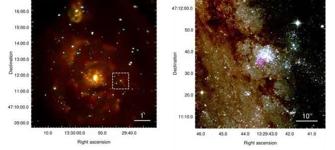 À gauche, en fausses couleurs, la galaxie M51 vue par Chandra. À droite, un zoom sur la région encadrée en tirés blancs avec une image de Hubble. Le cercle magenta marque la position des rayons X de l'étoile binaire M 51-ULS, qui se trouve au bord d'un jeune amas d'étoiles. © R. Di Stefano, Julia Berndtsson, Ryan Urquhart, Roberto Soria, Vinay L. Kashyap, Theron W. Carmichael, Nia Imara