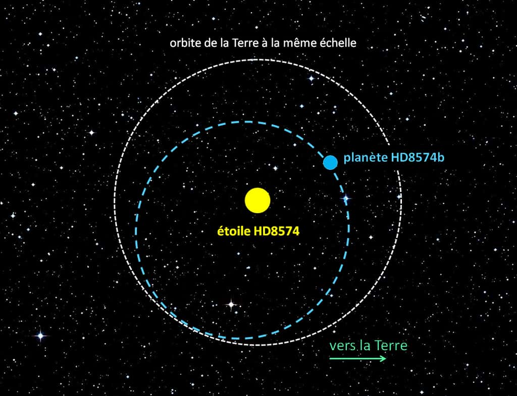 Représentation de l'orbite elliptique de la planète HD8574b autour de son étoile, avec l'orbite de la Terre donnée à la même échelle. © G. Hébrard
