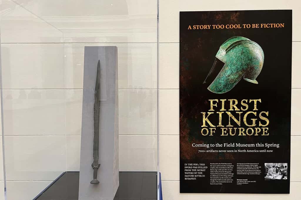 Installation d'une épée de l'âge du bronze (1080-900 av. J.-C.) dans le hall principal du <em>Field Museum</em> en avant-première d'une exposition spéciale à venir, « Premiers rois d'Europe ». © Field Museum, Chicago