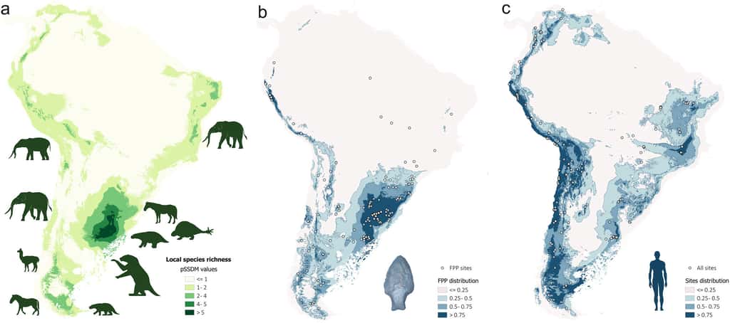 Co-occurrence de la mégafaune sud-américaine, des pointes de flèches et des populations humaines préhistoriques © Prates et Perez, 2021