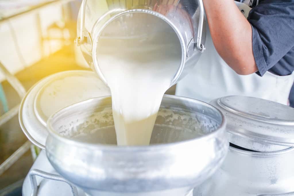  Bientôt, il sera possible de faire du fromage sans lait, et une omelette sans casser des œufs… grâce à la biologie de synthèse. © tonaquatic, Adobe Stock