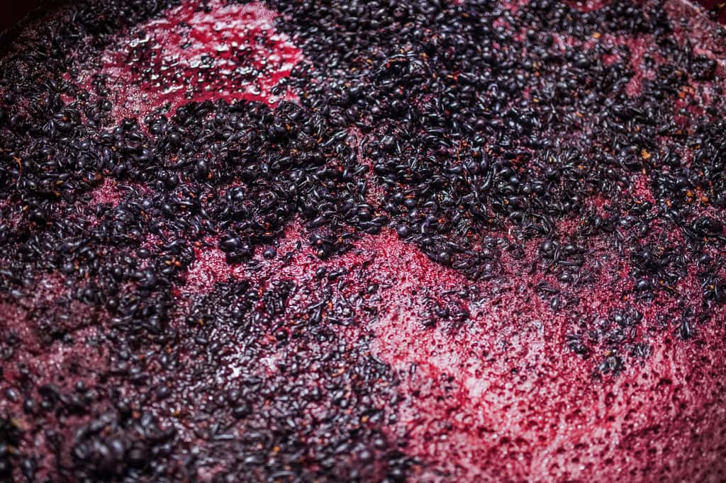 La transformation du raisin par fermentation permet d'obtenir une boisson alcoolisée. © Halfpoint, Adobe Stock