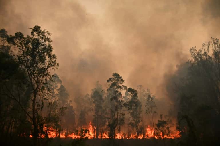 Un feu de brousse à Bobin en Australie, le 9 novembre 2019. © Peter Parks, AFP