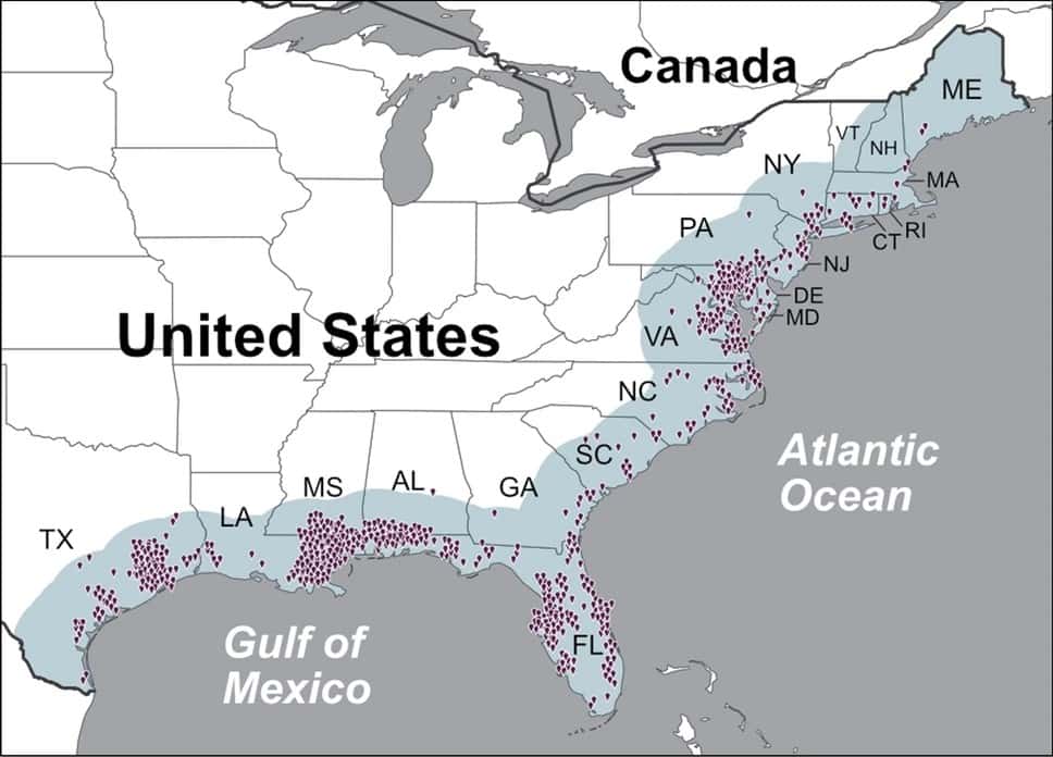 La présence de <em>Vibrio vulnificus</em> le long de la côte est des États-Unis entre 2007 et 2018. © Elizabeth J. Archer et <em>al. Scientific Reports 2023</em>