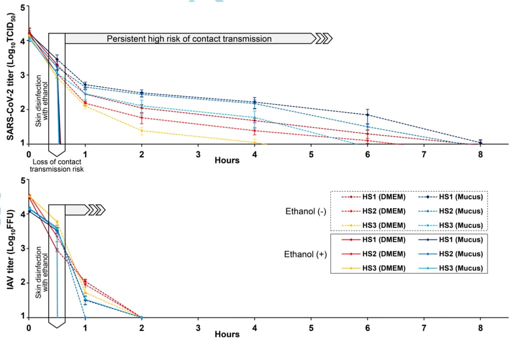 Le graphique du haut représente la survie du SARS-CoV-2 sur les échantillons de peau (HS1, 2 et 3) et le graphique du bas celle du H1N1, un virus influenza du groupe A. L'encadré indique l'application de la solution d'éthanol à 80 % 30 minutes après le début de l'expérience. Les titres viraux deviennent nuls juste après. © Ryohei Hirose et <em>al., Clinical Infectious Disease</em>