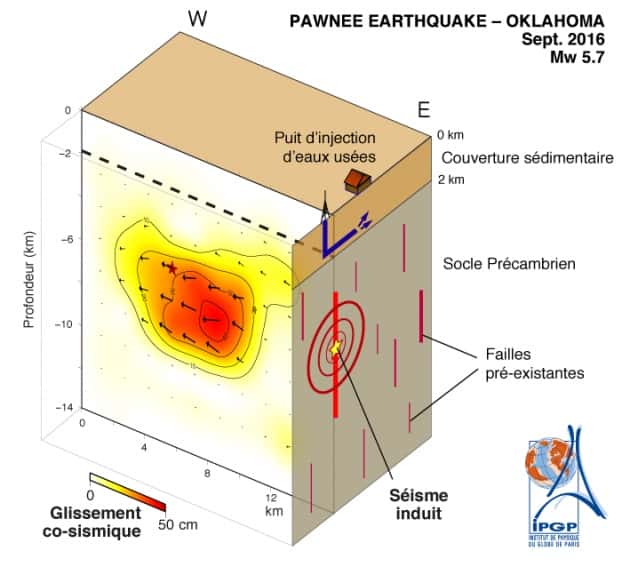 Glissement associé au séisme de Pawnee, visualisé sous la forme d’un bloc 3D. Le séisme a rompu une faille située à l’intérieur du socle cristallin, sous le contact avec la couverture sédimentaire (ligne pointillée) à l’intérieur de laquelle l’injection de fluides a lieu. © IPGP, Insu, CNRS