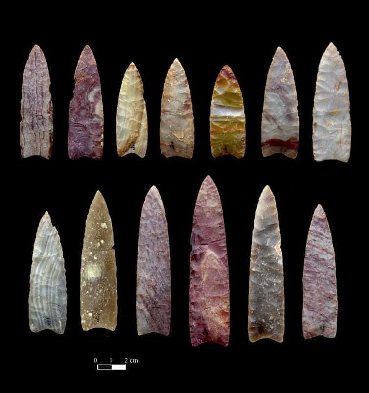 Des pointes de lance vieilles de 13.000 ans retrouvées au Colorado. © Chip Clark, Smithsonian Institution