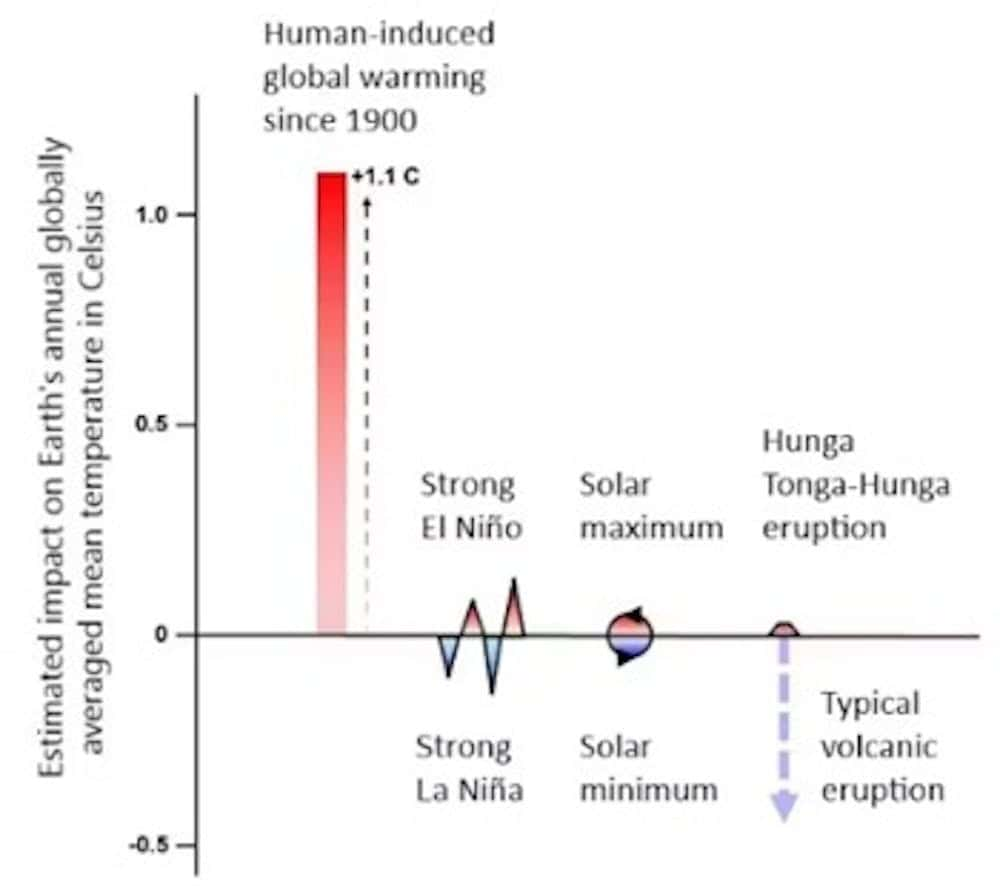 Impact relatif des activités humaines sur l’augmentation de la température par rapport aux phénomènes naturels. © M. Wysession/Washington University