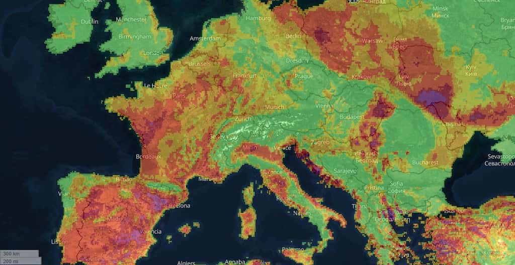 Le risque d'incendie aujourd'hui en Europe : en rouge le risque est élevé, en violet le risque est extrême. © Copernicus