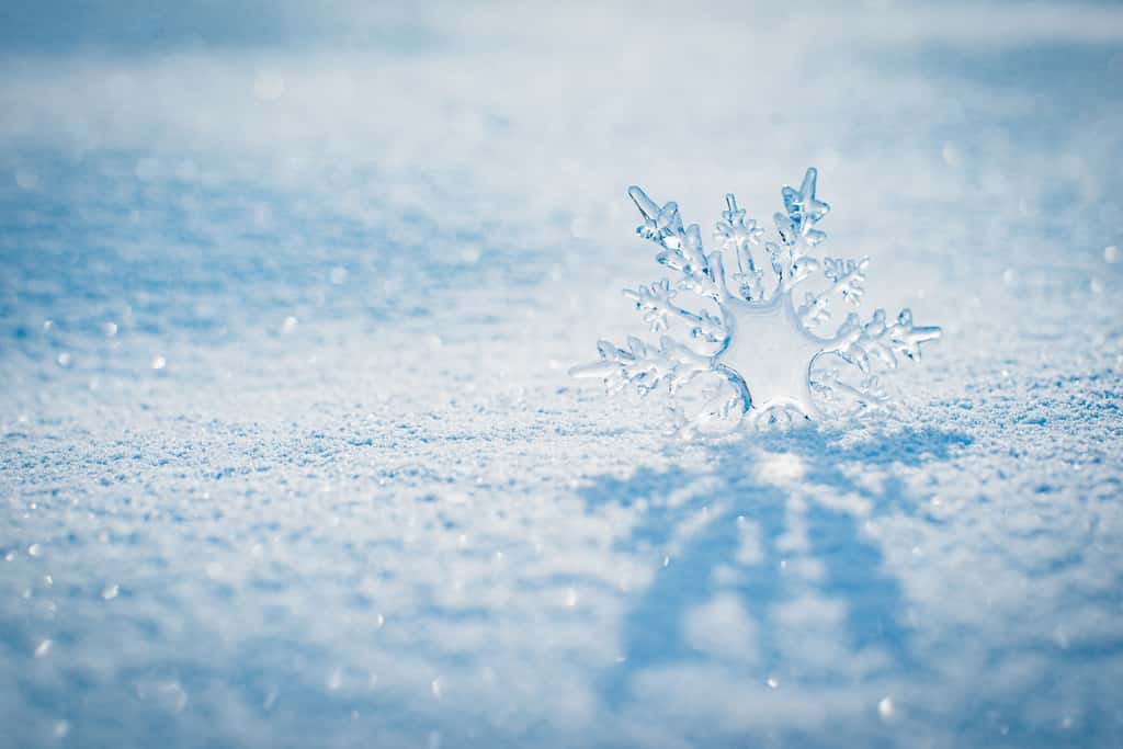 La structure de la glace varie en fonction des facteurs environnementaux : durée de la croissance, température, pression... © Nita, Adobe Stock