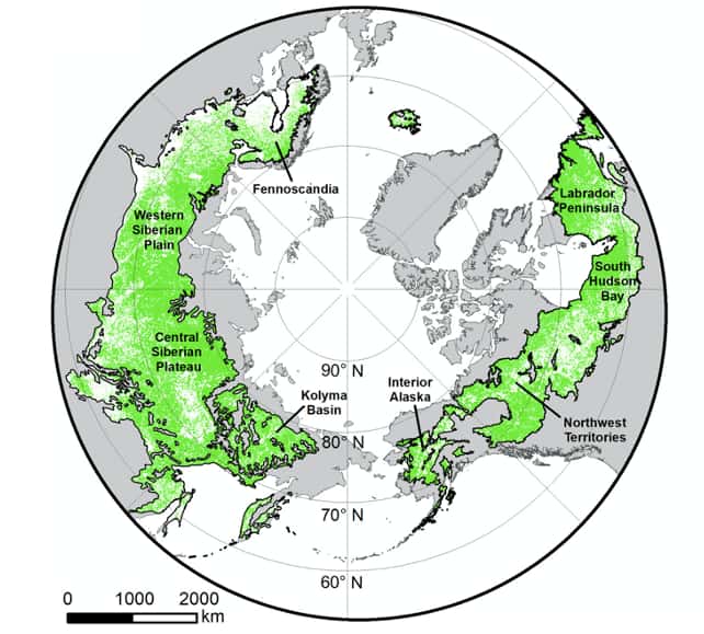 Les forêts boréales s'étendent à travers le nord de l'Eurasie et l'Amérique du Nord pour former l'un des plus grands biomes terrestres de la Terre, d'environ 15,1 millions de km<sup>2</sup>. Sur cette carte, le pôle Nord est au centre. © Logan T. Berner et Scott J. Goetz, 2022