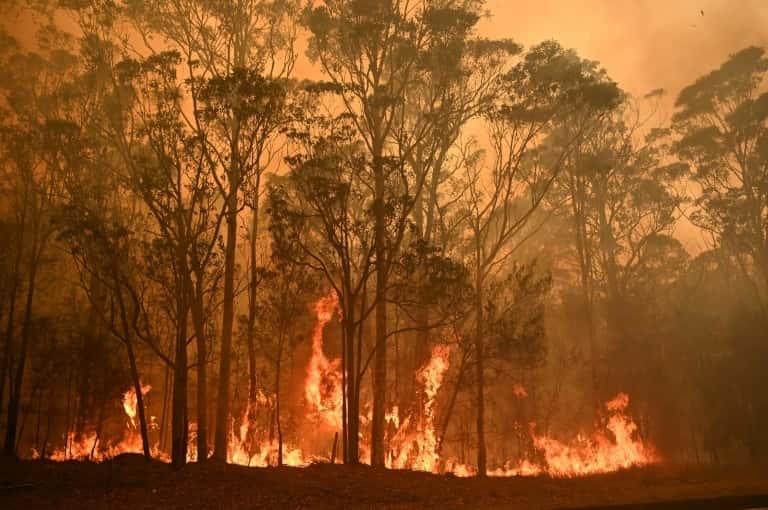 Un feu de forêt près de la ville de Moruya, en Nouvelle-Galles-du-Sud, le 4 janvier 2020 en Australie. © Peter Parks, AFP, Archives 