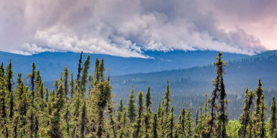 Des chercheurs ont utilisé des données satellite pour retracer la saison des incendies en Alaska et dans le nord-ouest du Canada sur une période de 17 ans. © troutnut, Getty Images