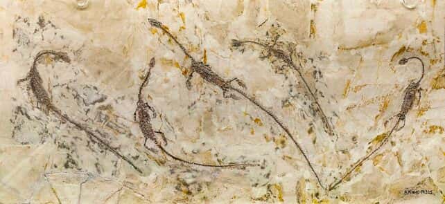Stone slab containing several Hyphalosaurus fossils (single-headed) © Tiouraren/Wikimedia Commons